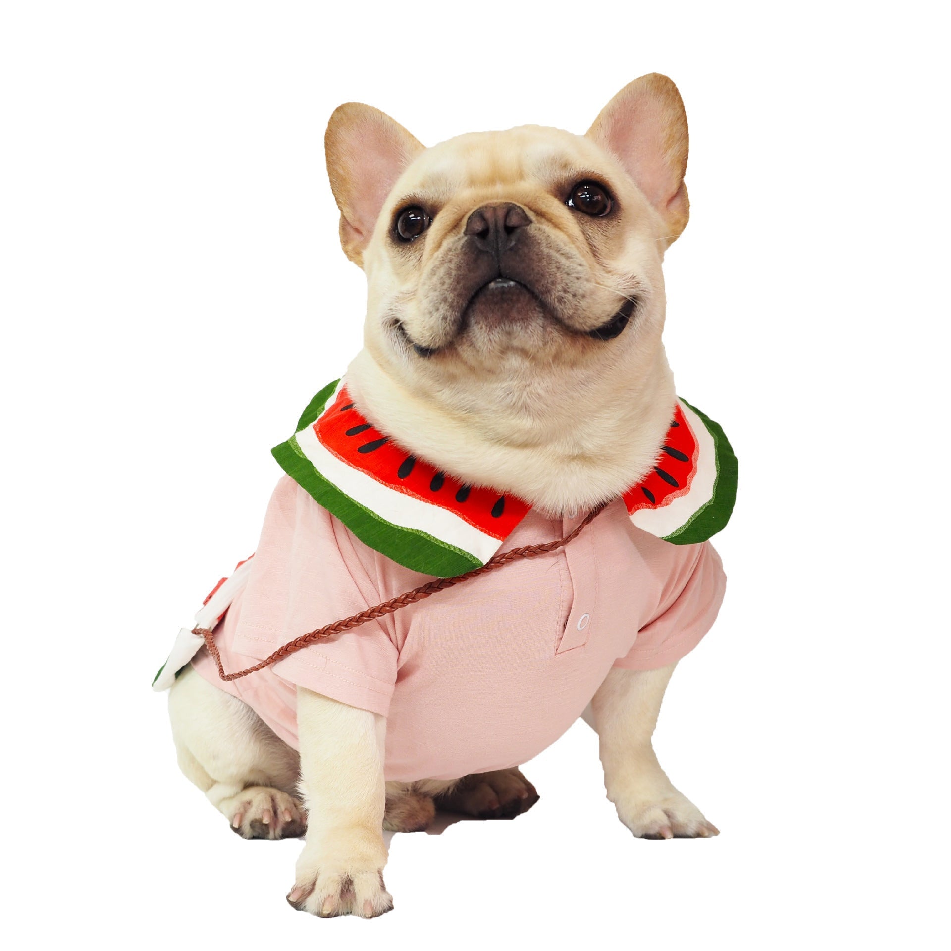 JMT-059658 Breathable Cotton Watermelon Dog Outfit with Matching Bag for All Sizes