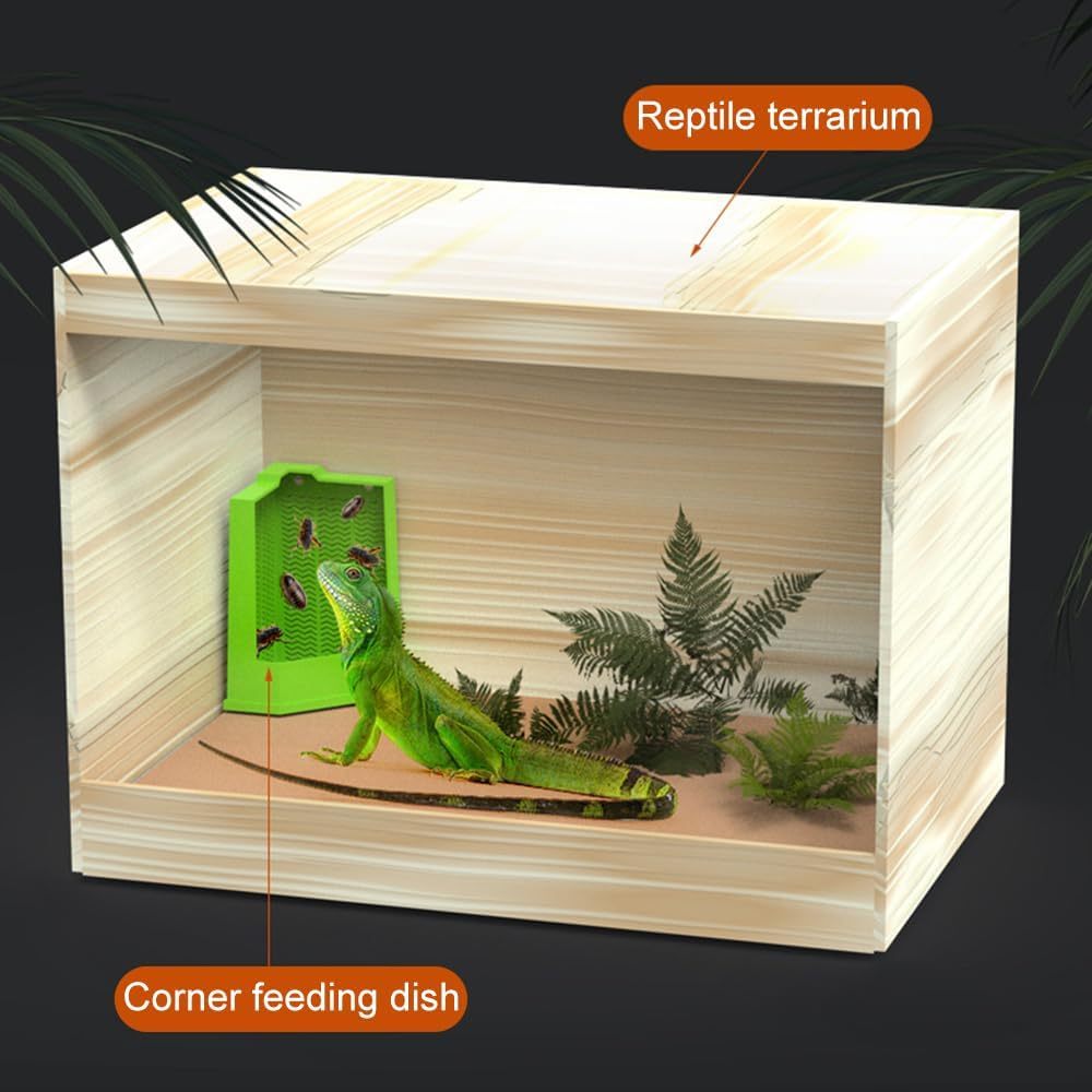JMT-060042 Wall-Mounted Bearded Dragon Feeder with Suction Cups - Corner Reptile Feeding Dish for Lizards, Iguanas, and Geckos