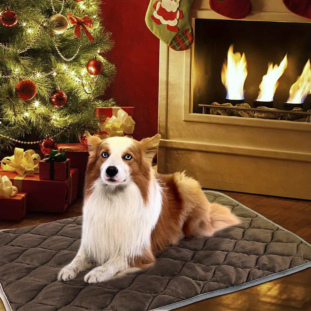 JMT-062154 Self-Heating Non-Slip Pet Mat for Dogs and Cats - Warm Thermal Blanket for Indoor and Outdoor Use, Washable & Durable