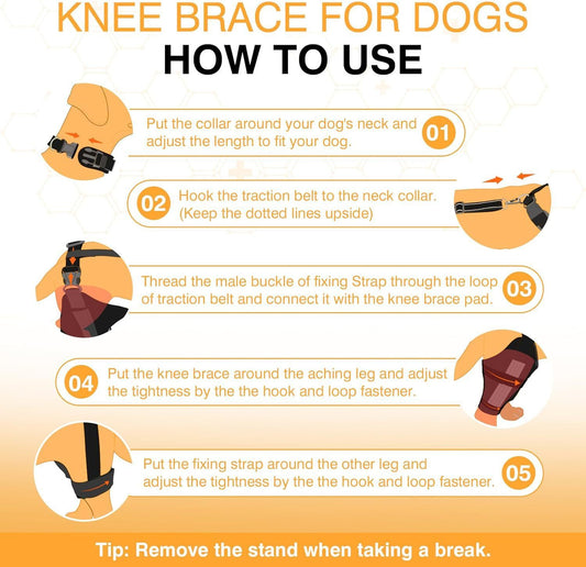JMT-065098 Dog Knee Brace with Auxiliary Belt for Joint Protection and Mobility Support