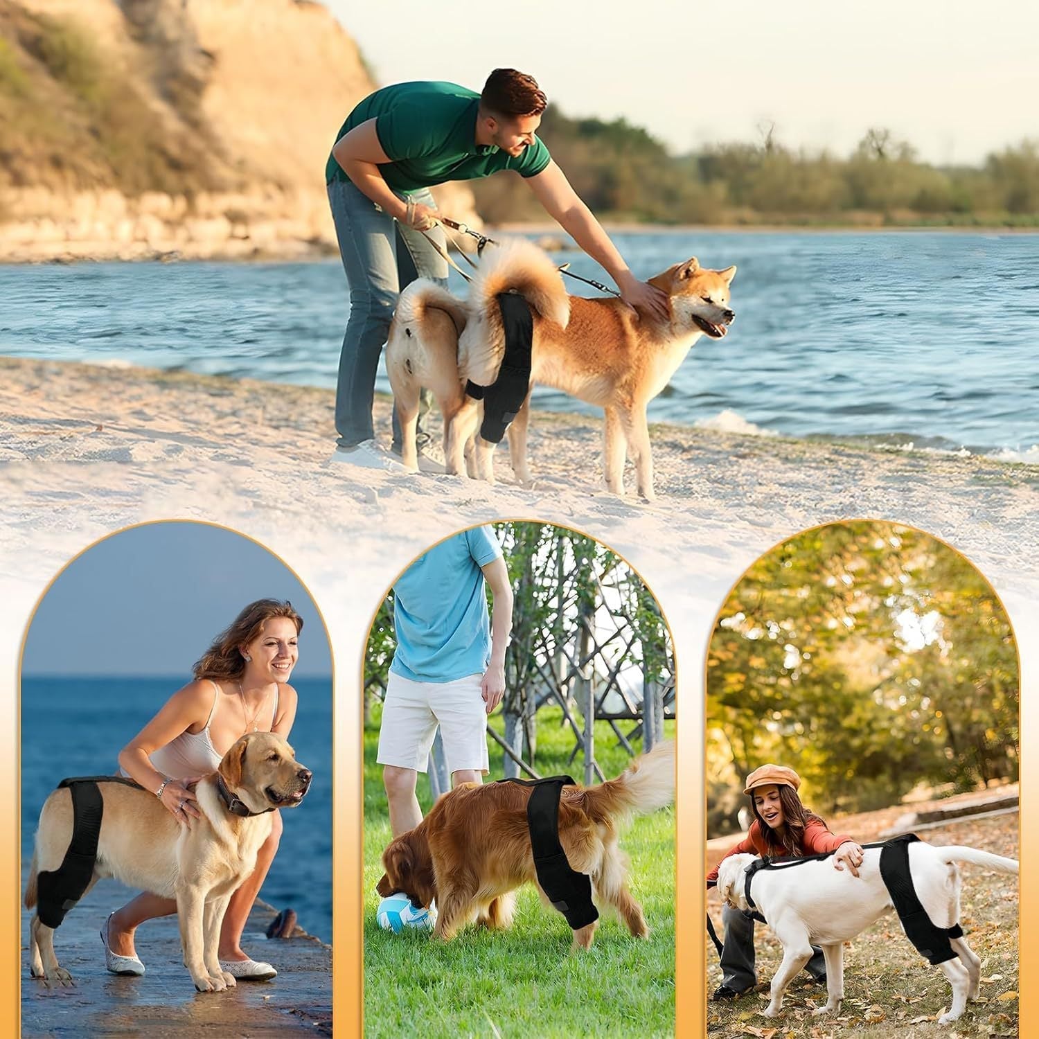 JMT-065098 Dog Knee Brace with Auxiliary Belt for Joint Protection and Mobility Support