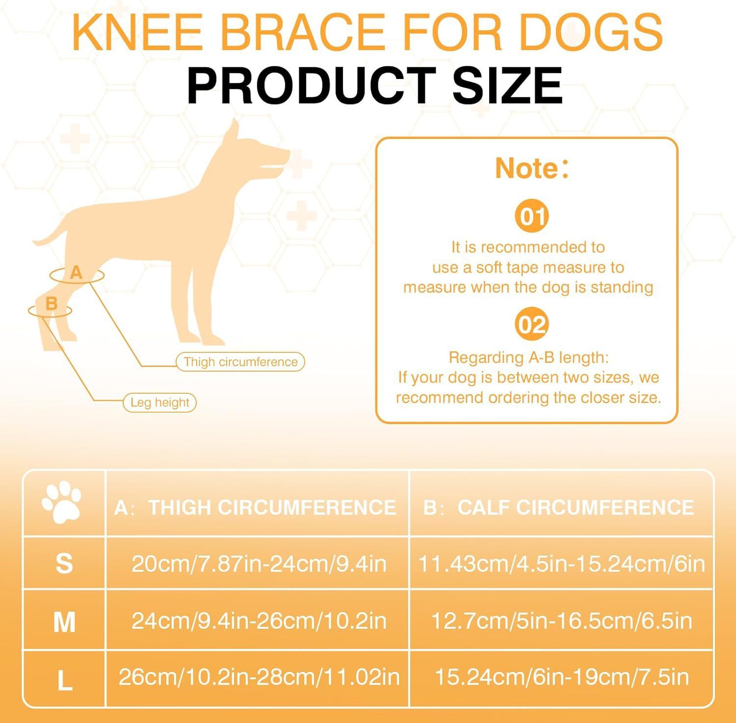 JMT-065098 Dog Knee Brace with Auxiliary Belt for Joint Protection and Mobility Support