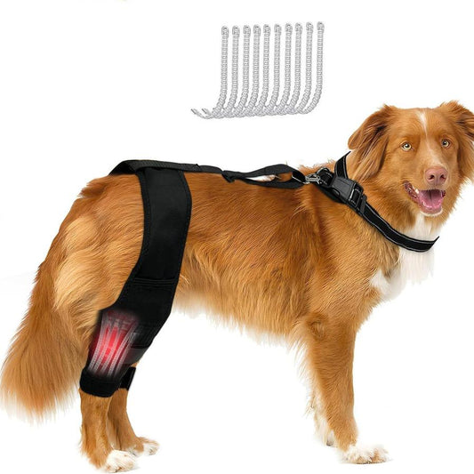 JMT-065098 Dog Knee Brace with Auxiliary Belt for Joint Protection and Mobility Support