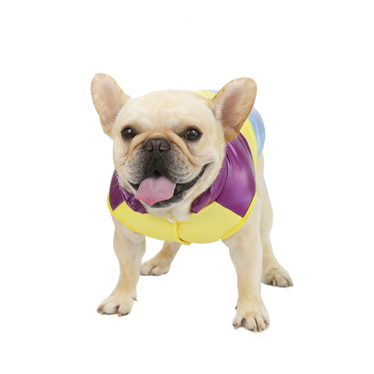 JMT-066250 Rainbow Pet Cotton Vest Costume for All Genders - Available in Yellow and Pink in Sizes S to XXL