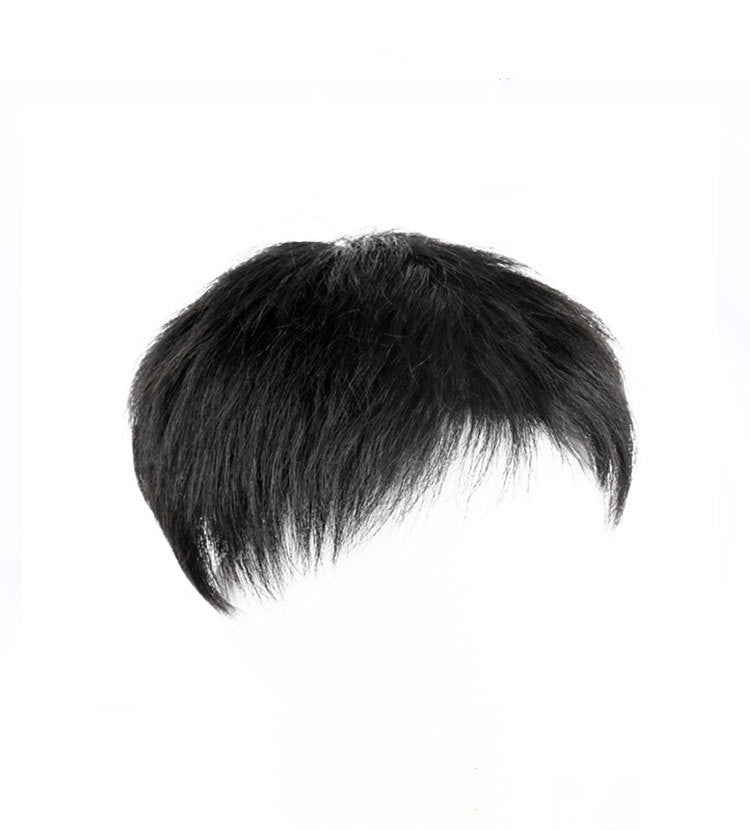 JMT-067466 Men's Natural Real Hair Short Wig - Breathable Design for All Skin Tones and Face Shapes