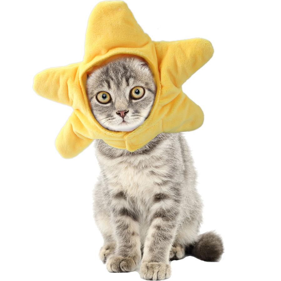 JMT-068746 Cartoon Starfish Cat Headgear - Plush Four Seasons Pet Accessory