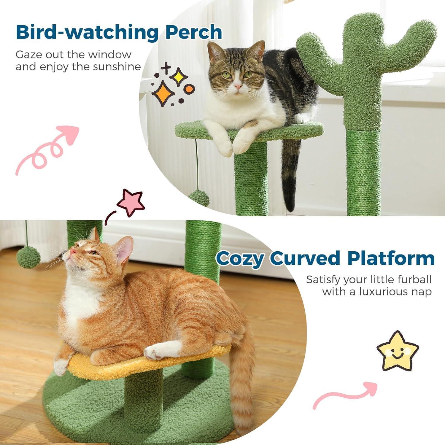 JMT-073546 Cactus Cat Tree with Flower Perch, Soft Top, and Hanging Ball for Indoor Cats