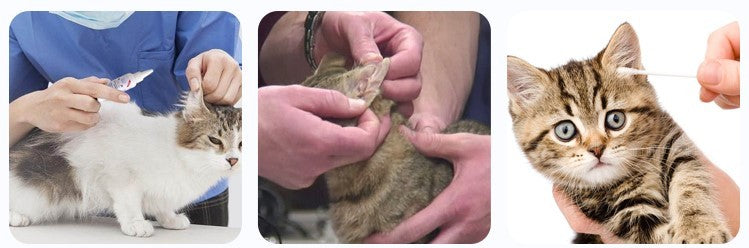 JMT-073610 Pet Ear Cleaning Solution - 60 ml for Dogs and Cats, Gentle Formula with Salicylic Acid and Peppermint Oil, Helps Prevent Ear Infections and Odor