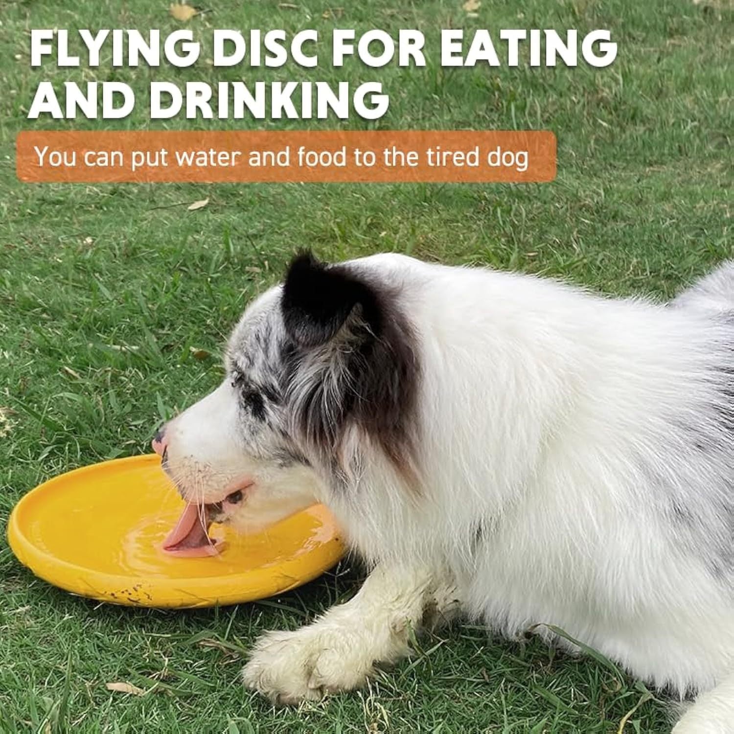 JMT-074506 Durable Interactive Flying Disc for Medium to Large Dogs - Ideal for Outdoor Fun and Summer Activities