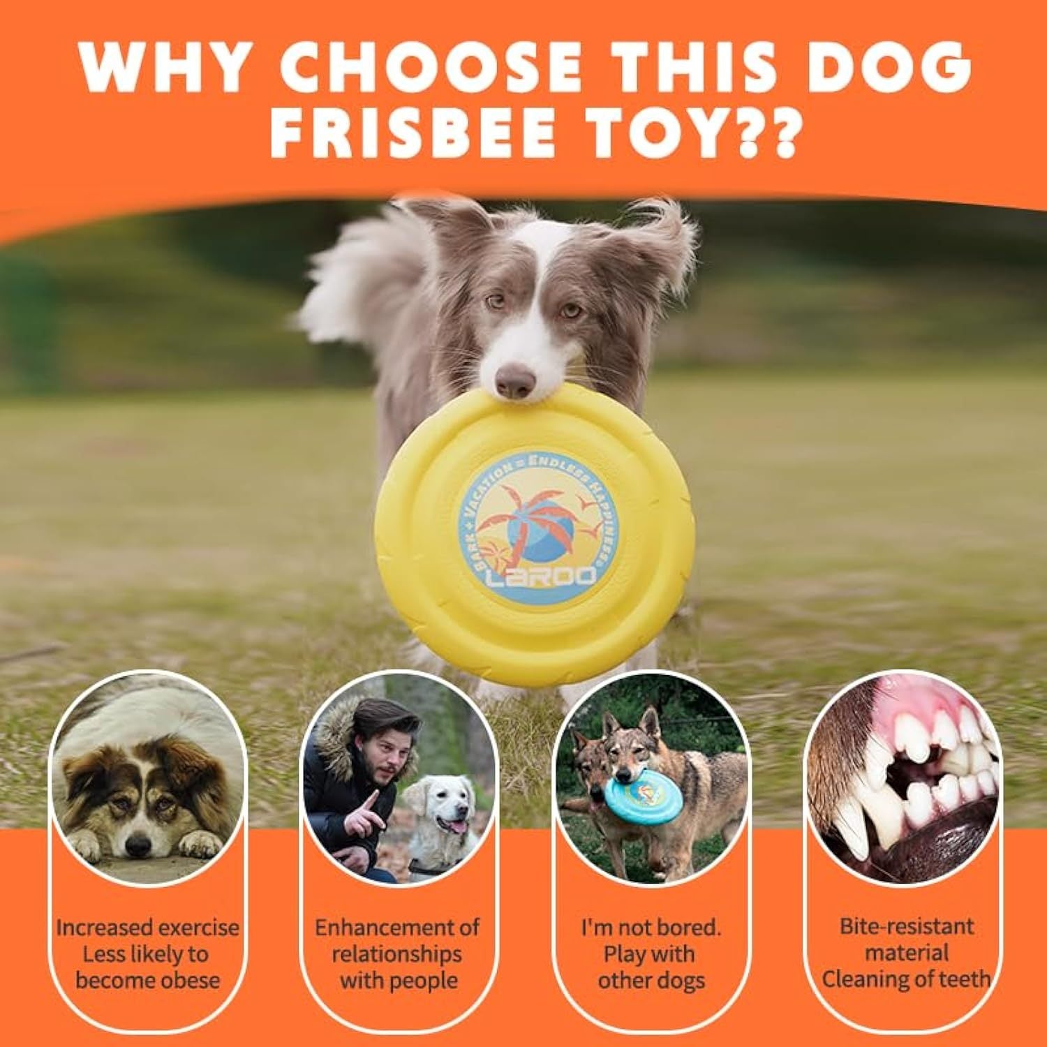JMT-074506 Durable Interactive Flying Disc for Medium to Large Dogs - Ideal for Outdoor Fun and Summer Activities