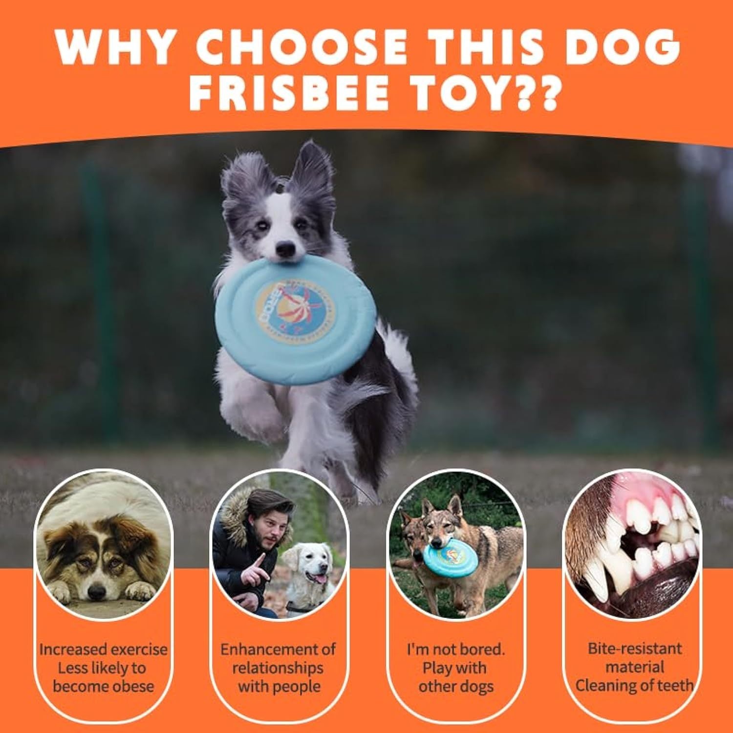 JMT-074506 Durable Interactive Flying Disc for Medium to Large Dogs - Ideal for Outdoor Fun and Summer Activities