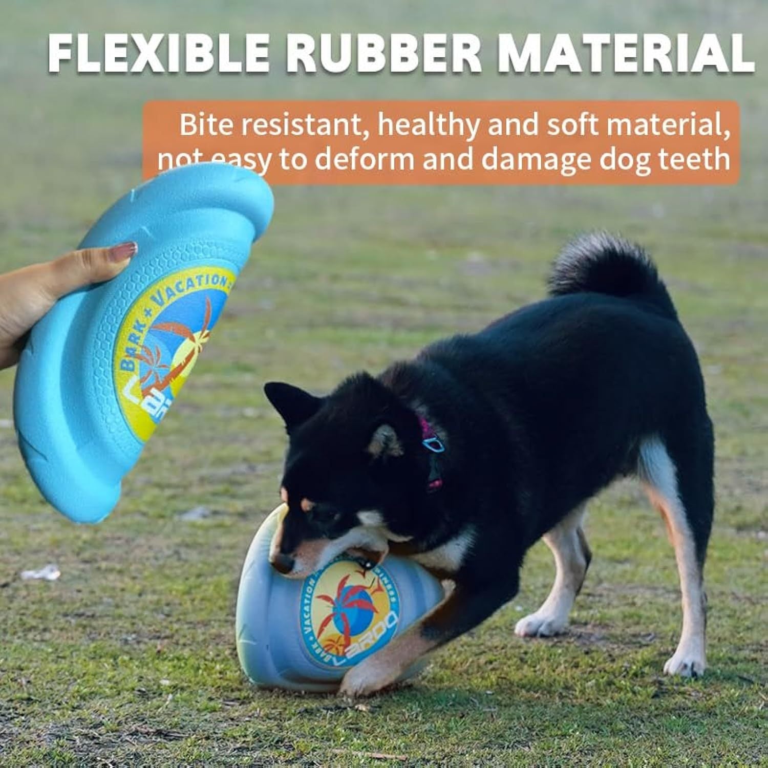 JMT-074506 Durable Interactive Flying Disc for Medium to Large Dogs - Ideal for Outdoor Fun and Summer Activities