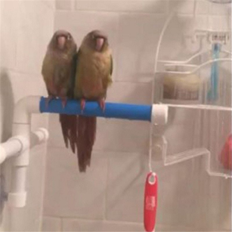 JMT-074762 Bird Shower Rod Stand for Medium to Large Birds - Foldable Design with Suction Cups for Easy Shower Use