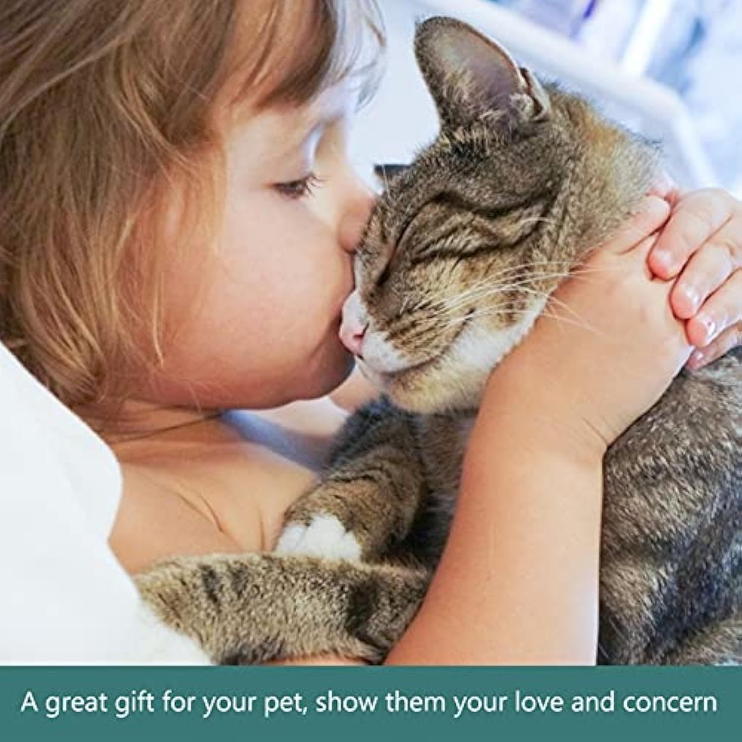 JMT-077962 Automatic Slow Feeder Pet Bowl with Detachable Water Tray for Dogs and Cats