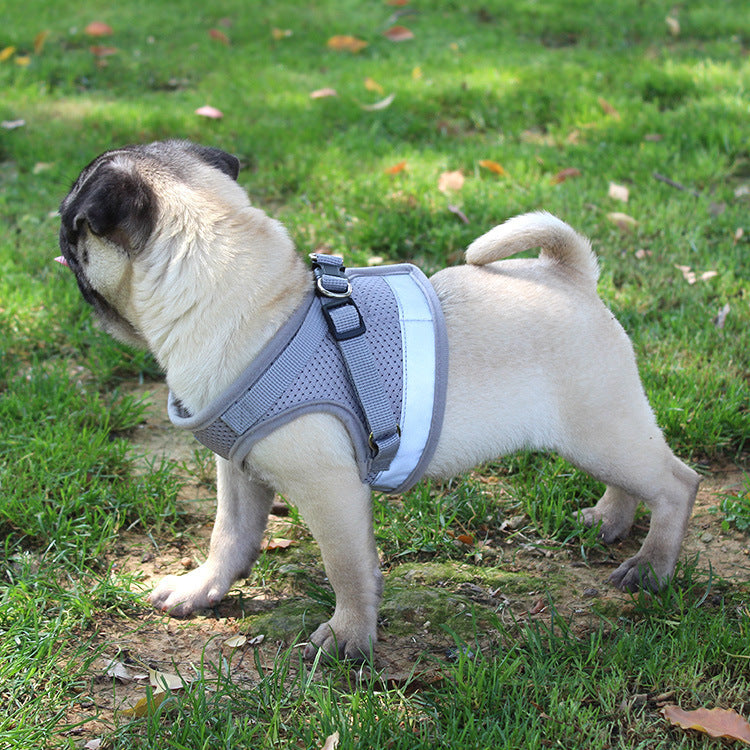 JMT-093130 Adjustable Polyester Pet Chest Strap in Multiple Sizes for Small to Extra-Large Dogs