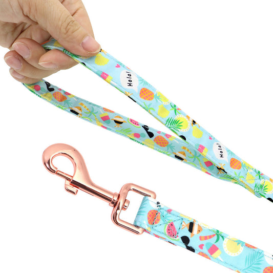 JMT-093450 Adjustable Dog Leash for Small Breeds - Ideal for Teddies and Corgis