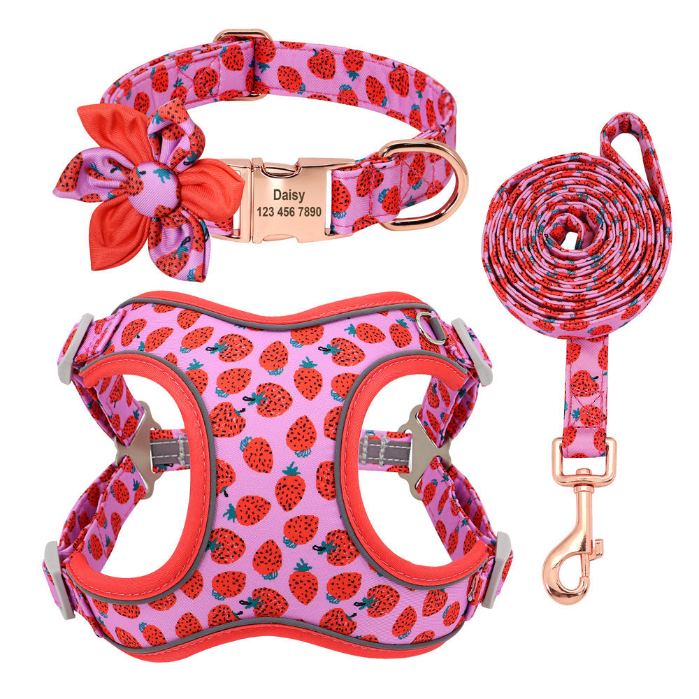 JMT-093450 Adjustable Dog Leash for Small Breeds - Ideal for Teddies and Corgis