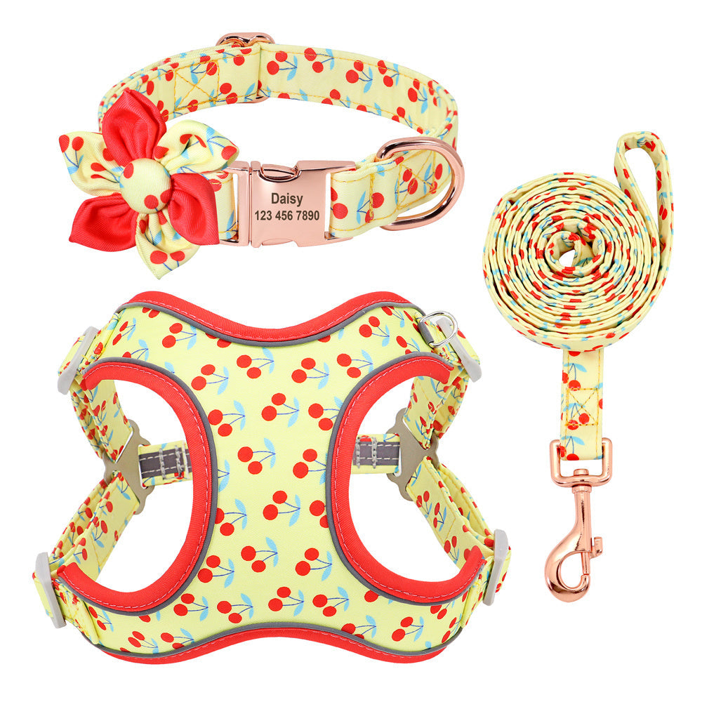 JMT-093450 Adjustable Dog Leash for Small Breeds - Ideal for Teddies and Corgis