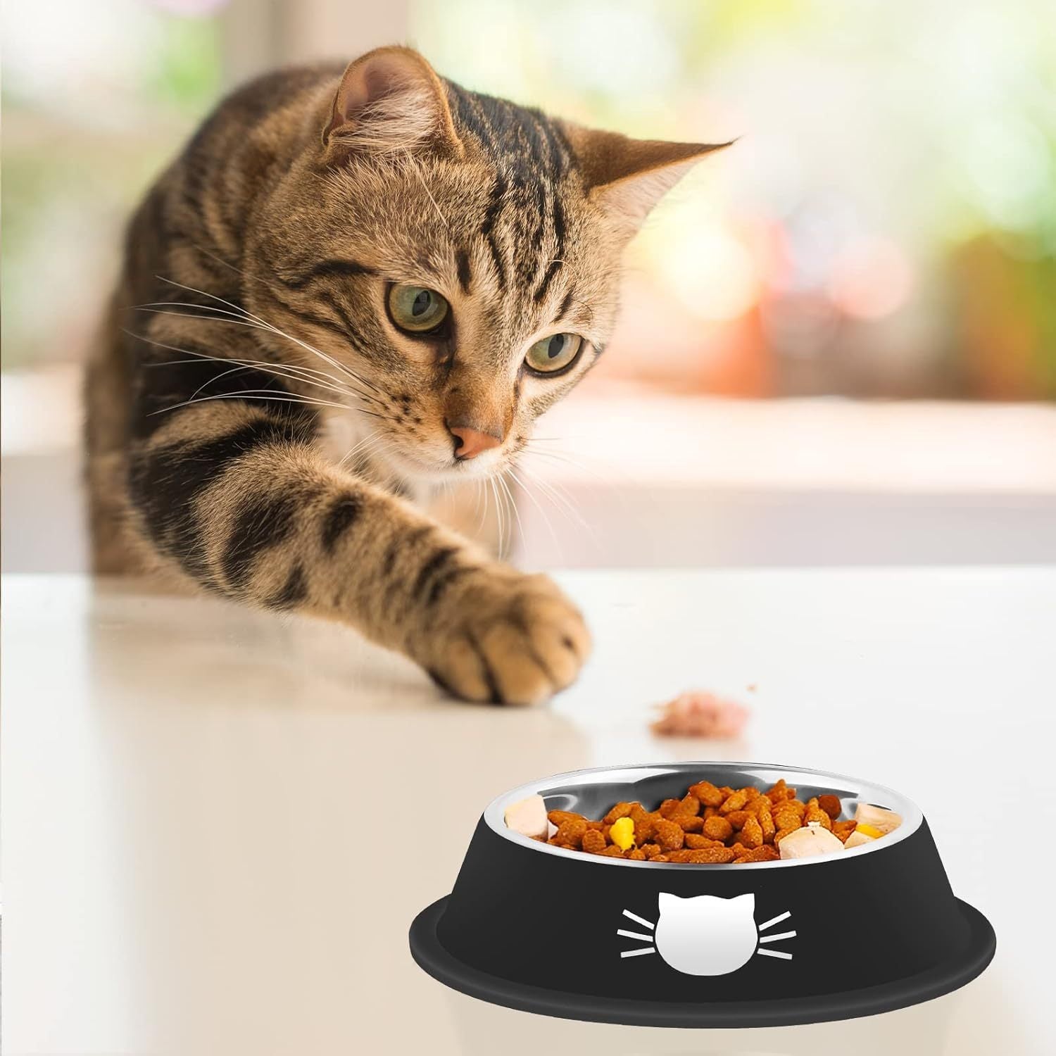 JMT-093770 Non-Slip Stainless Steel Cat Food Bowls with Removable Rubber Base for Small Cats