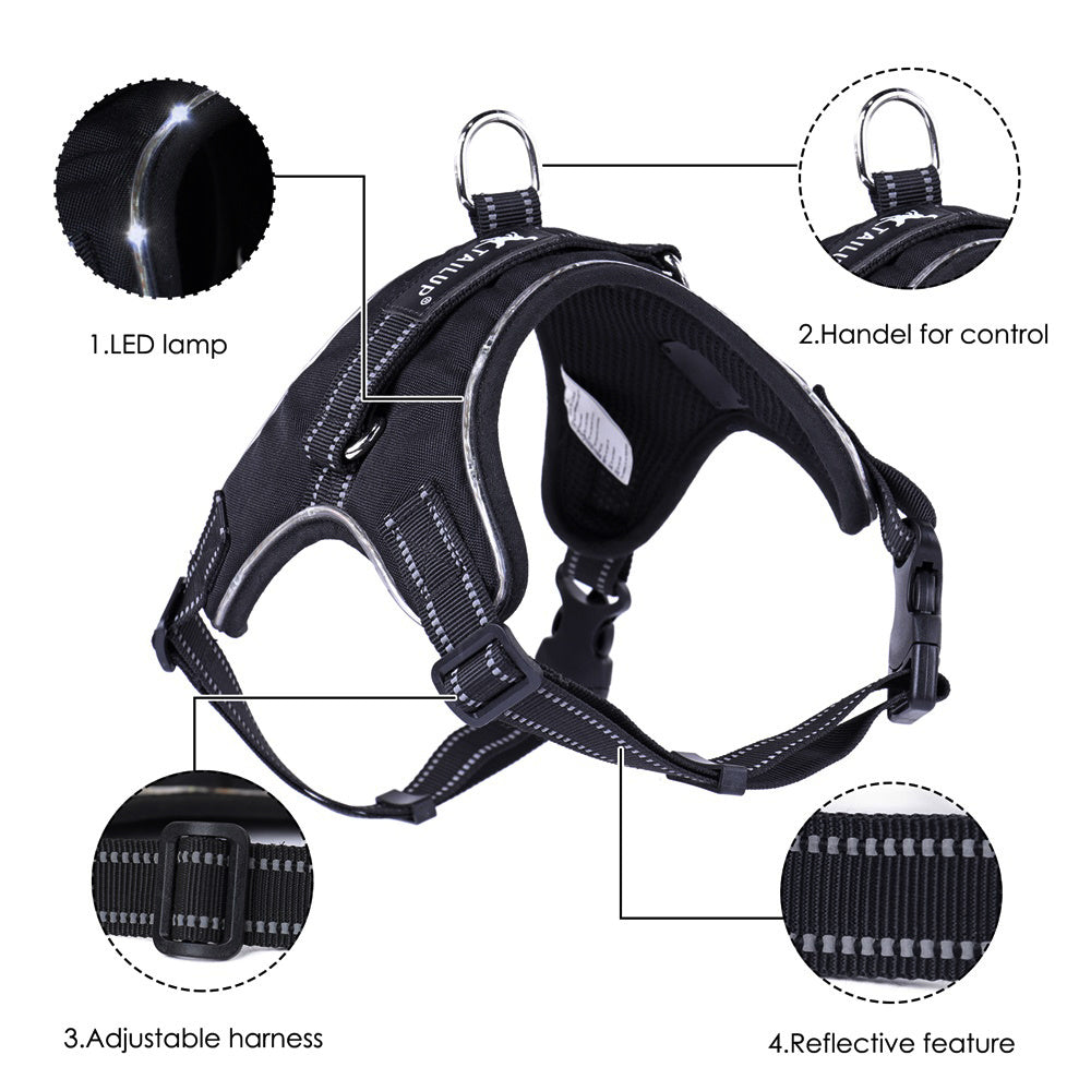 JMT-094282 Adjustable LED Dog Collar with Reflective Strips and Control Handle, Waterproof Oxford Material