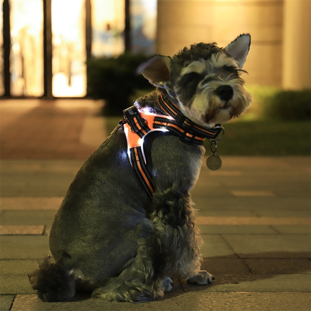 JMT-094282 Adjustable LED Dog Collar with Reflective Strips and Control Handle, Waterproof Oxford Material