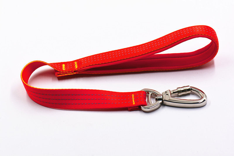 JMT-096586 Durable Nylon Dog Traction Rope with Stainless Steel Safety Buckle - 2.5cm x 57cm