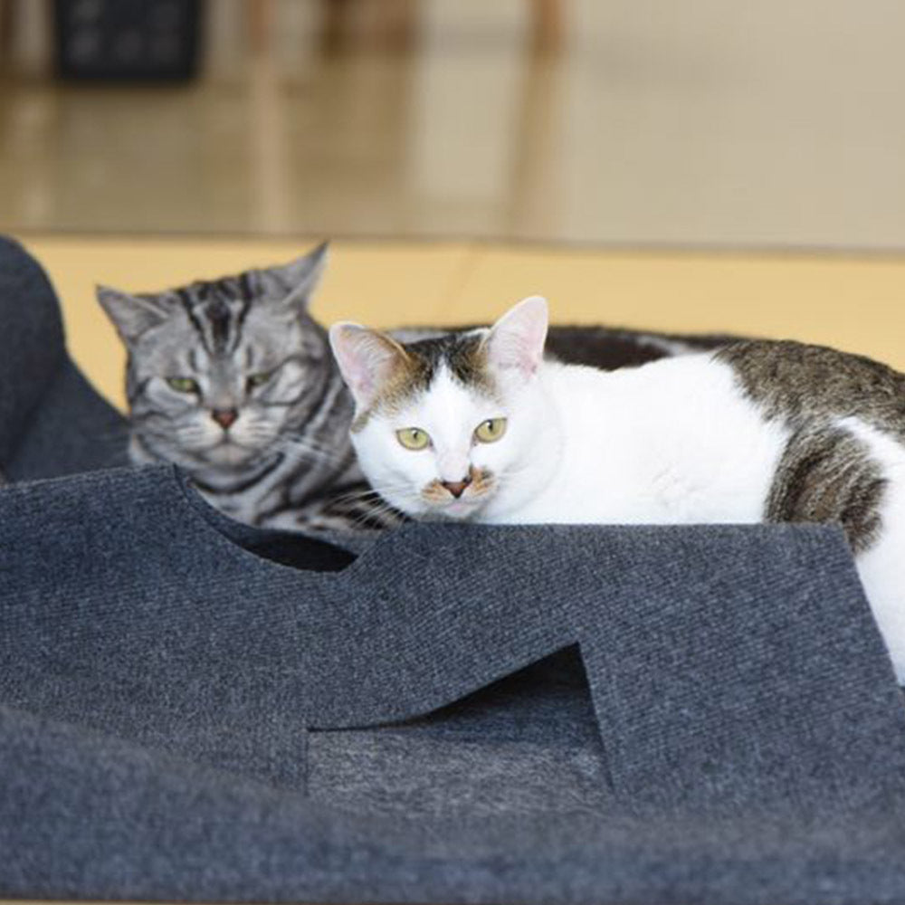 JMT-098698 Cozy Cat Hole Blanket in Gray and Blue - Flame Retardant Polyester with Alloy Features