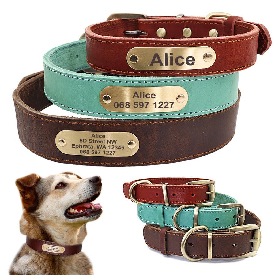 JMT-101514 Personalized Leather Dog Collar with Engraved Golden Nameplate for Medium to Large Breeds
