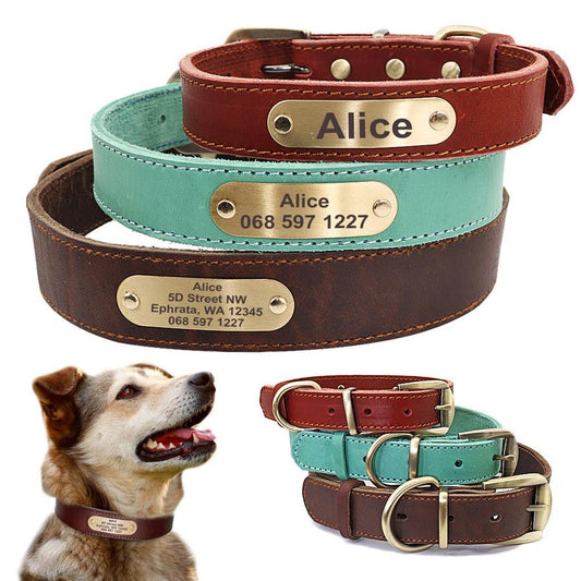 JMT-101514 Personalized Leather Dog Collar with Engraved Golden Nameplate for Medium to Large Breeds