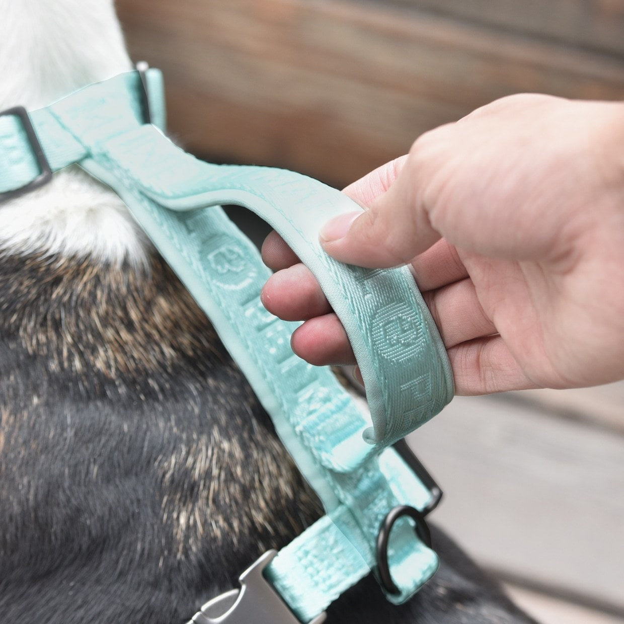 JMT-103178 Adjustable Embroidered Jacquard Dog Harness for Comfort and Safety