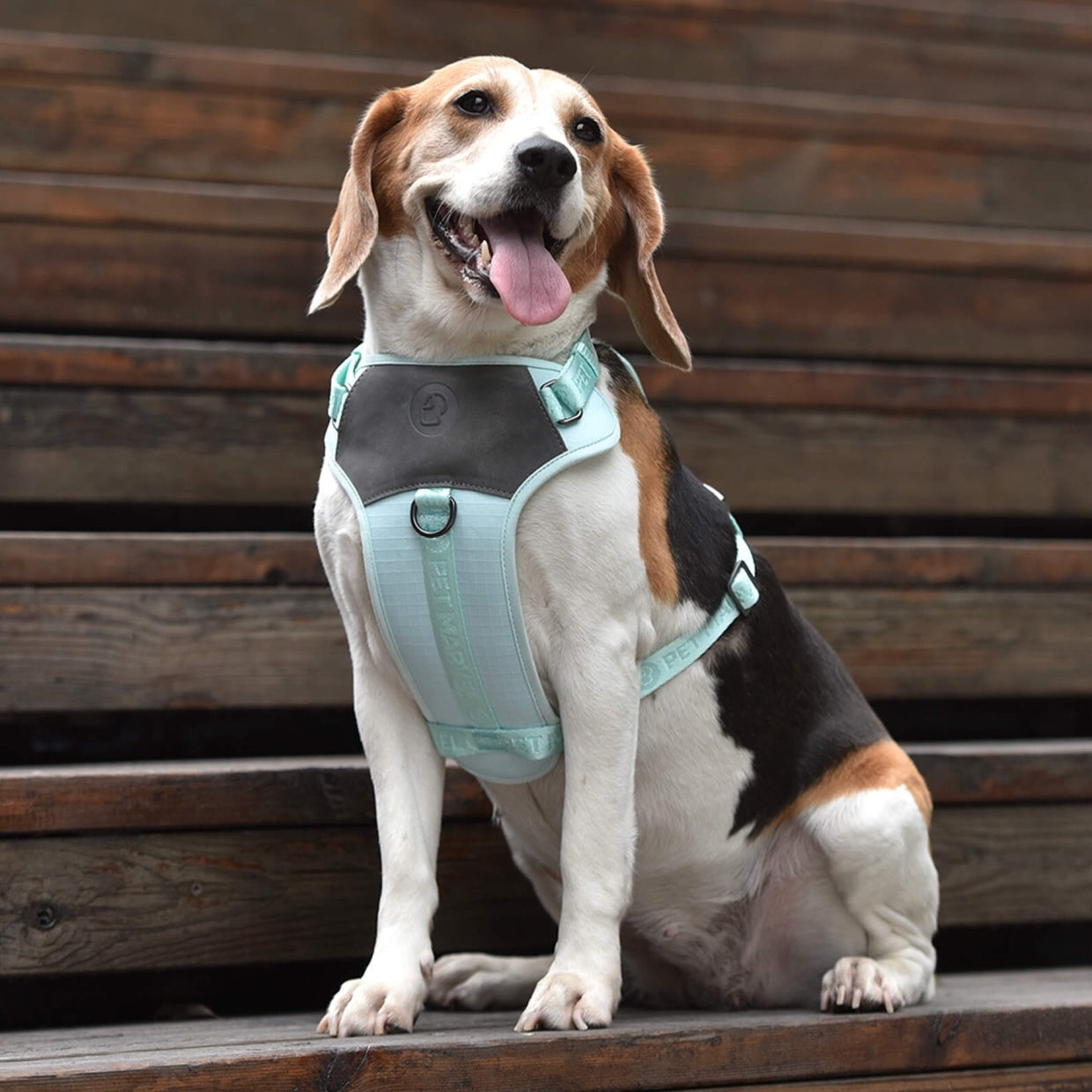 JMT-103178 Adjustable Embroidered Jacquard Dog Harness for Comfort and Safety