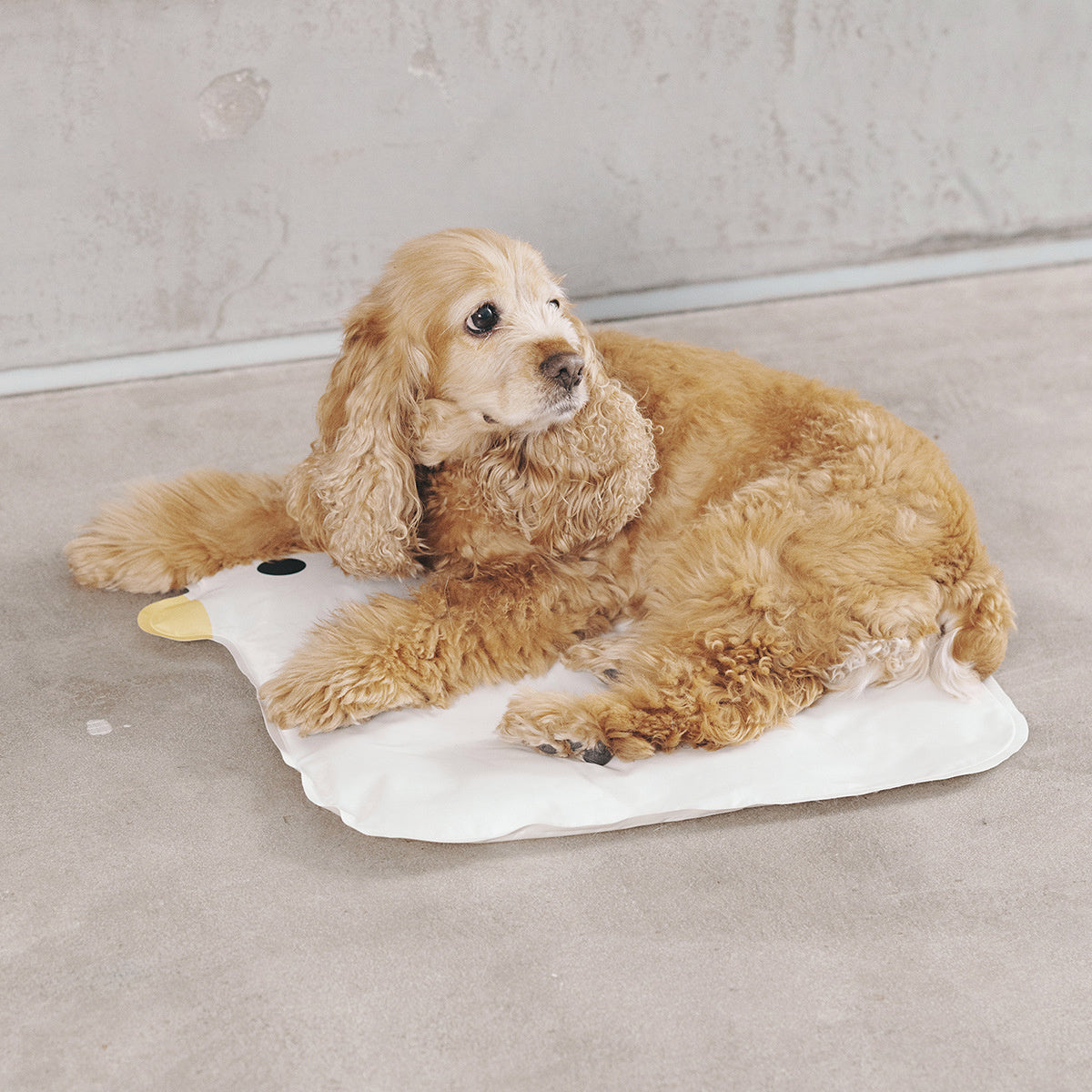 JMT-106122 Cooling Puppy Mat for Dogs and Cats - Washable, Non-Stick Pet Pad for Comfortable Indoor and Outdoor Use