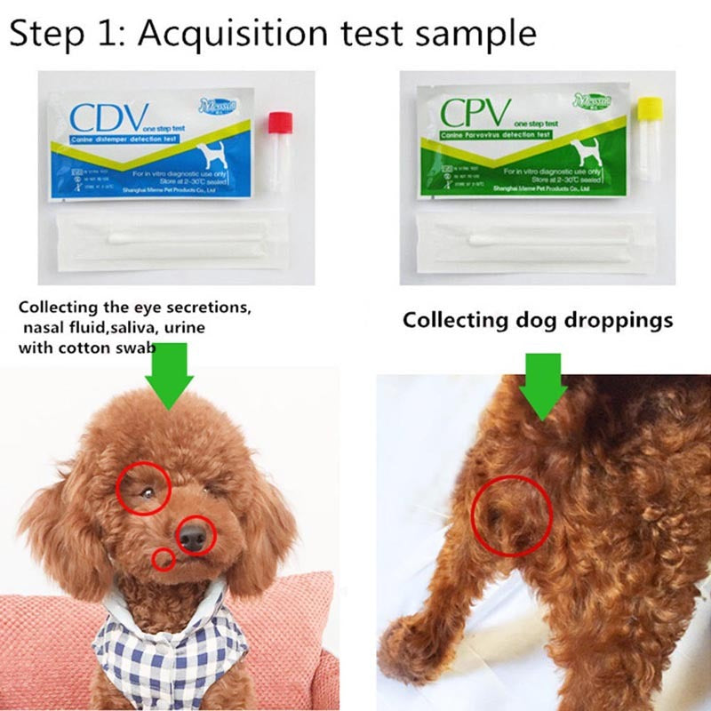 JMT-106378 Canine Distemper and Parvovirus Detection Test Kit