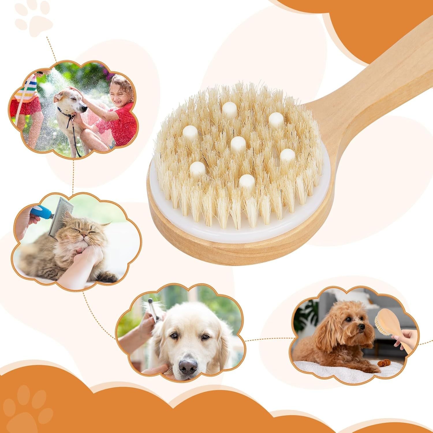 JMT-107530 Pet Bath Brush with Massage Points, Wooden Handle & Natural Bristles for Effective Grooming and Bathing
