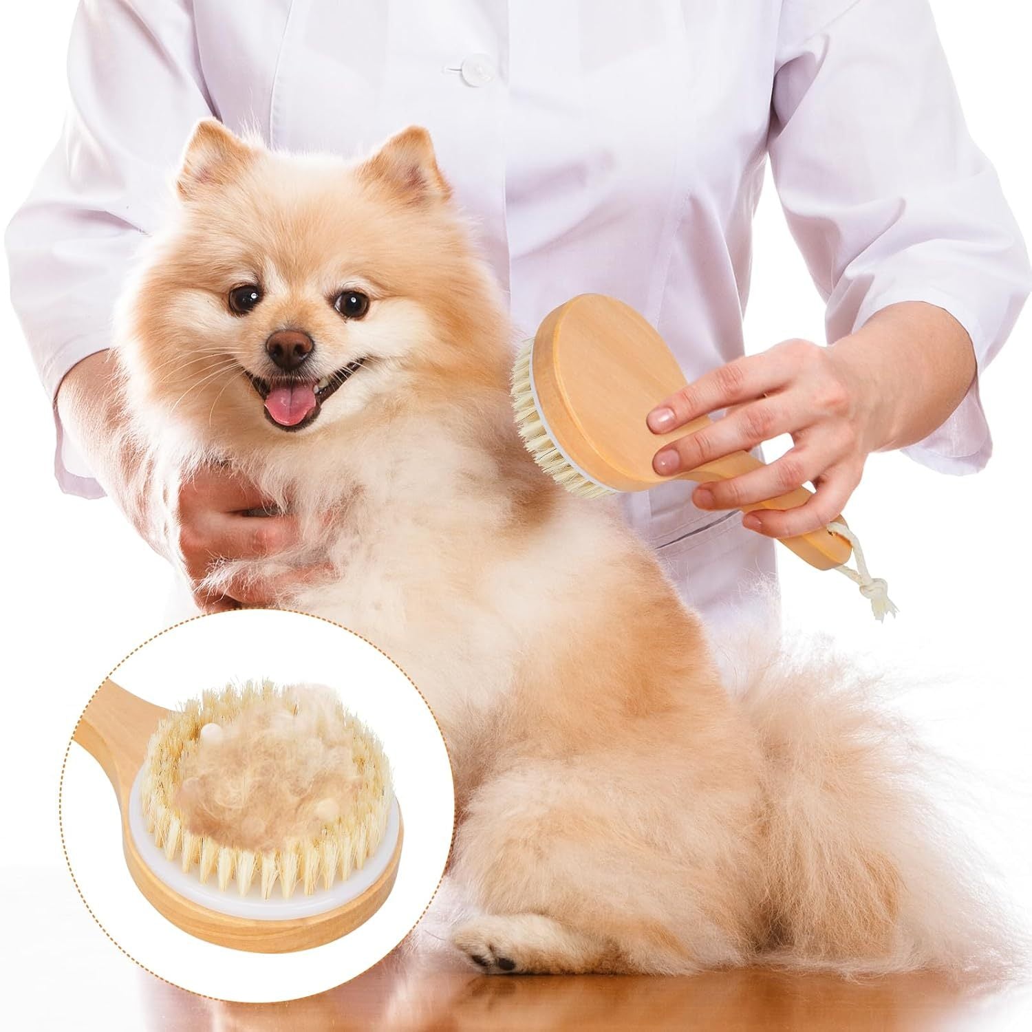 JMT-107530 Pet Bath Brush with Massage Points, Wooden Handle & Natural Bristles for Effective Grooming and Bathing