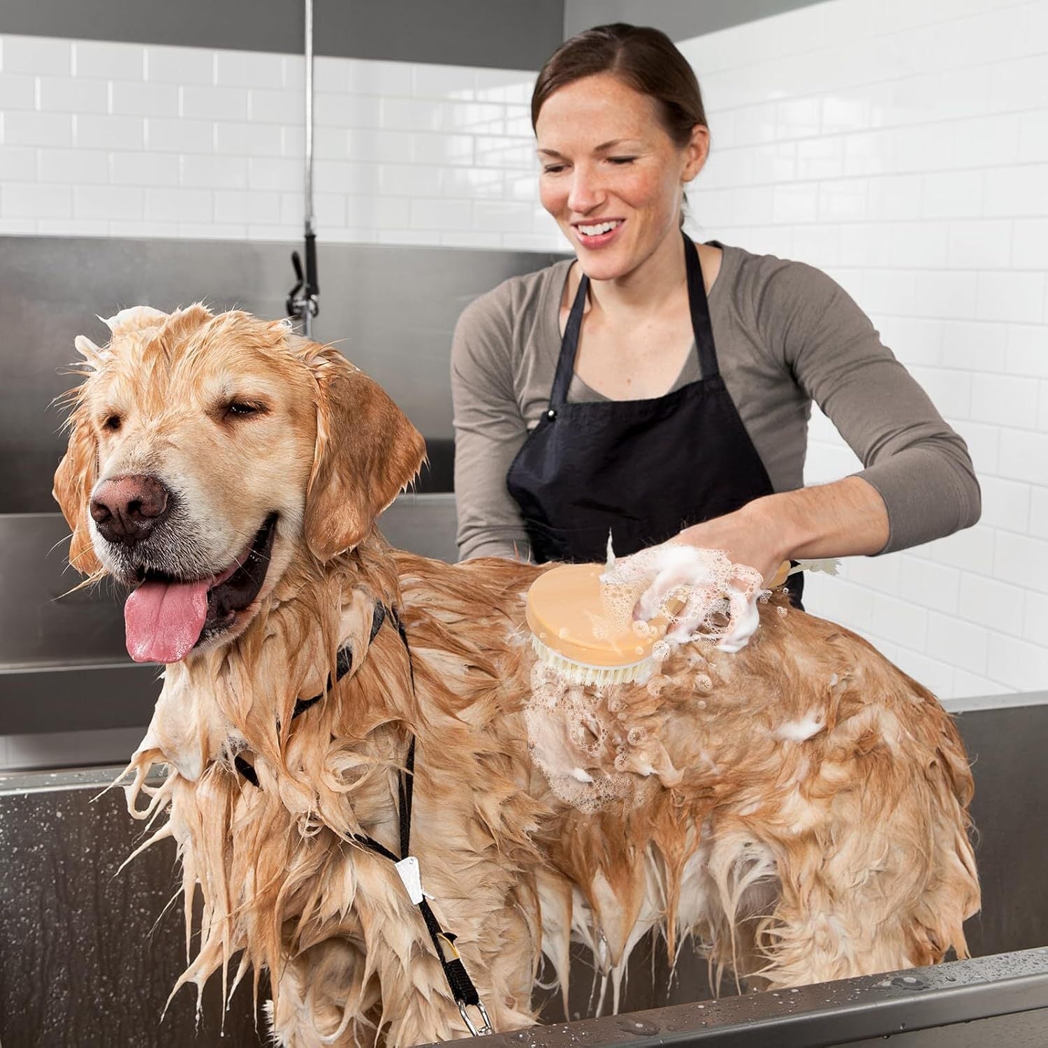 JMT-107530 Pet Bath Brush with Massage Points, Wooden Handle & Natural Bristles for Effective Grooming and Bathing