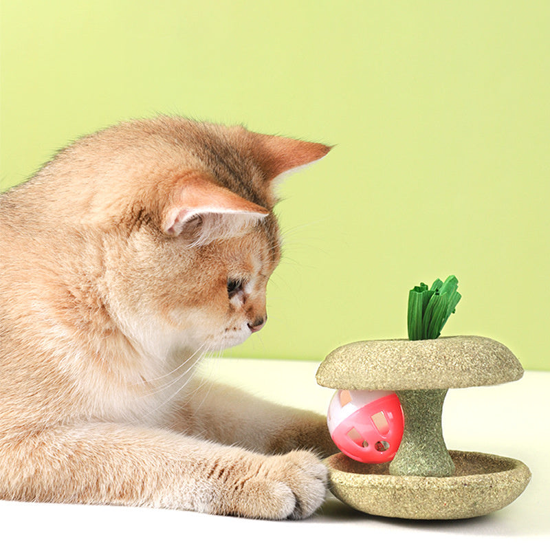 JMT-108746 Catnip Bell Toy for Cats - Edible, Dental Cleaning, Soft Material with Corn Husks