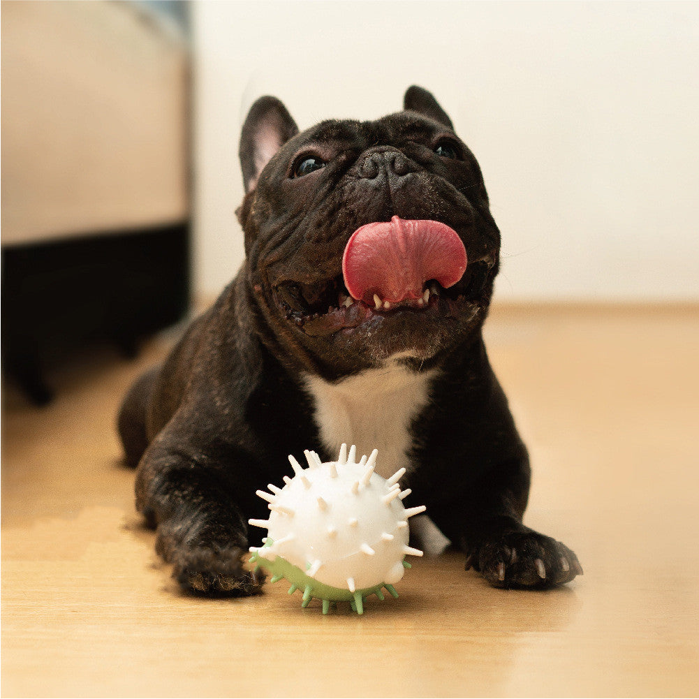 JMT-112202 Dog Bite-Resistant Vocal Toy in Green, Grey, and Yellow - Durable Plastic Design