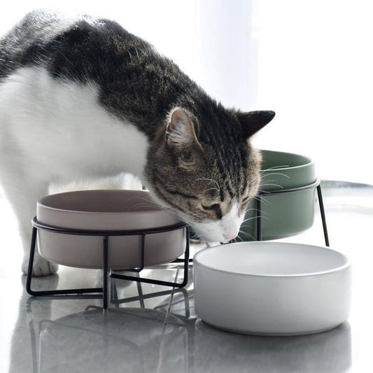 JMT-114378 Metal Frame Ceramic Pet Bowl - Multiple Colors & Sizes for Dogs and Cats