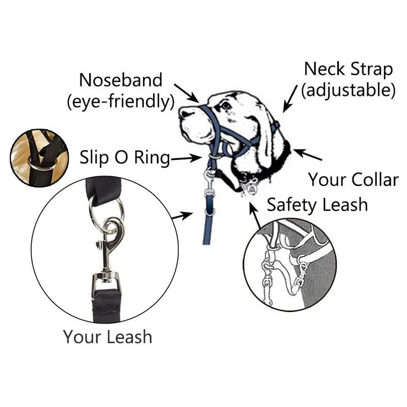 JMT-122442 Adjustable Nylon Anti-Bite Pet Muzzle and Traction Suit in Black