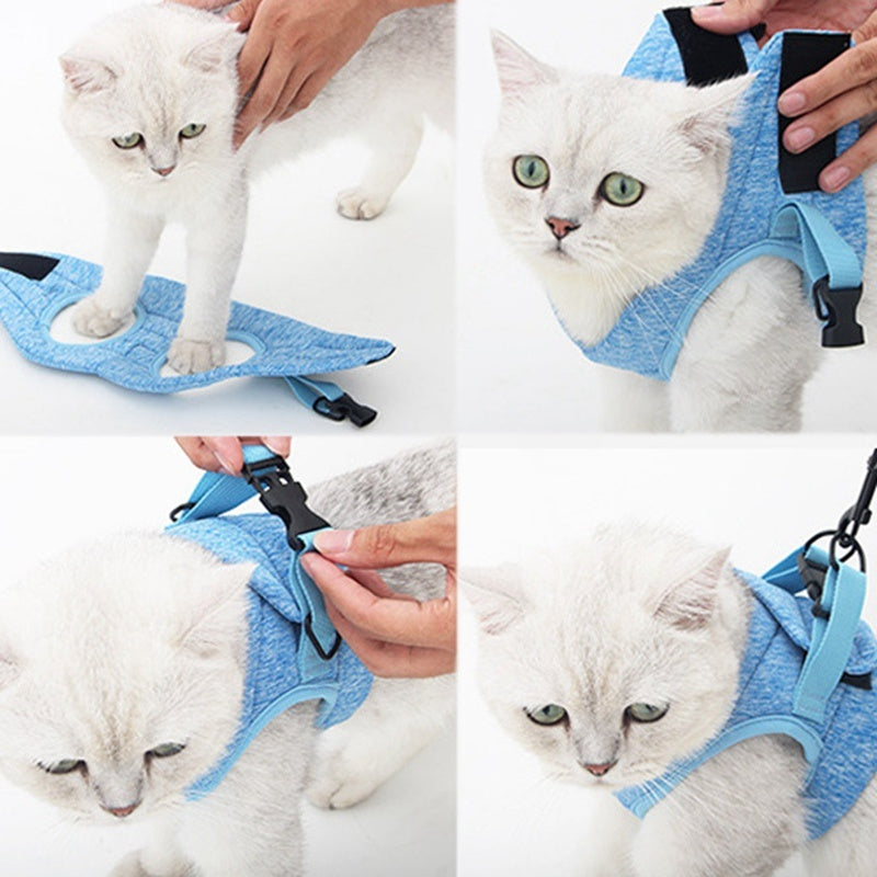 JMT-124746 Adjustable Cat Traction Rope with Chest Strap - Available in Gray and Blue, Sizes S, M, L