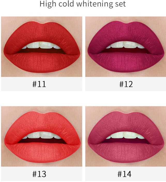 JMT-138186 Cool Smoke Tube Matte Lipstick - Versatile Application with 4 Color Options for Sensitive Skin