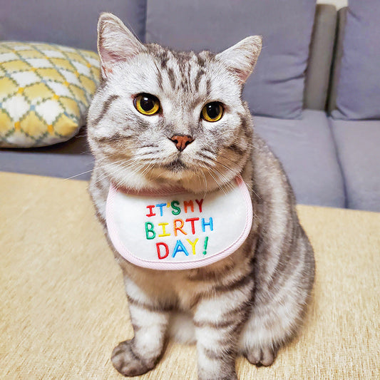 JMT-145290 Birthday Triangle Scarf Bib for Cats - Reversible Pink and Blue Polyester Design