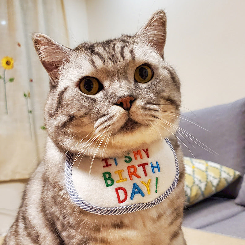 JMT-145290 Birthday Triangle Scarf Bib for Cats - Reversible Pink and Blue Polyester Design
