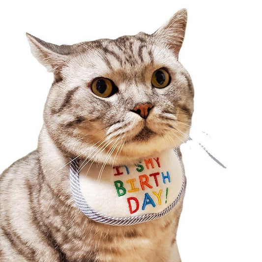 JMT-145290 Birthday Triangle Scarf Bib for Cats - Reversible Pink and Blue Polyester Design