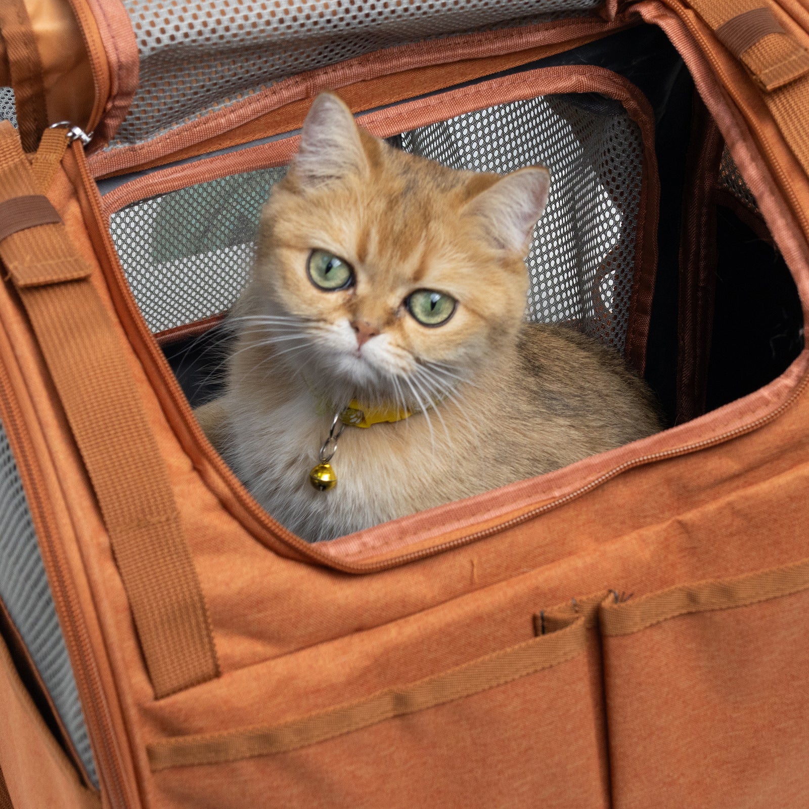 JMT-150922 Expandable Lightweight Cat Backpack with Breathable Design for Outdoor Adventures