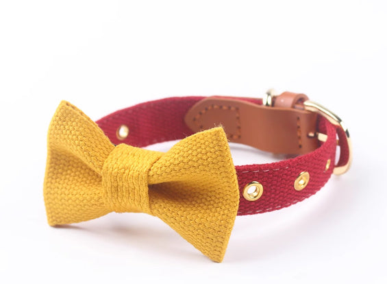 JMT-153226 Canvas Dog Collar with Hand-Holding Rope and Leather Stitching in Various Colors