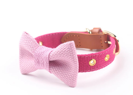JMT-153226 Canvas Dog Collar with Hand-Holding Rope and Leather Stitching in Various Colors