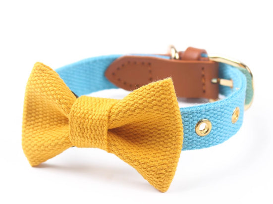 JMT-153226 Canvas Dog Collar with Hand-Holding Rope and Leather Stitching in Various Colors