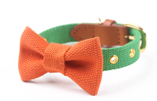 JMT-153226 Canvas Dog Collar with Hand-Holding Rope and Leather Stitching in Various Colors